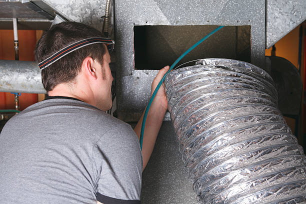 Best Air Duct Mold Removal  in Exander City, AL