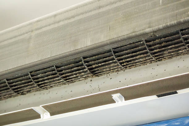 Best HVAC System Cleaning  in Exander City, AL